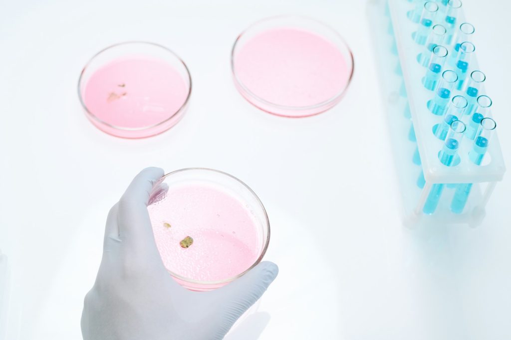 Skimmelsvamp allergi test – Så opdager du skjult sundhedsrisici